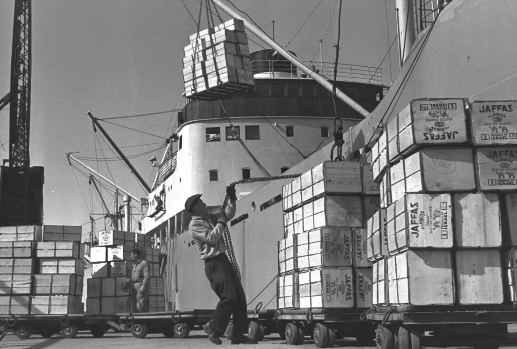 L'étonnante histoire des oranges de Jaffa